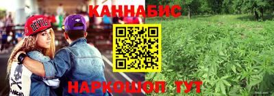 спиды Краснодар