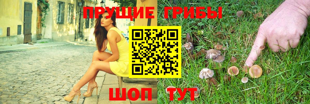 где купить   Вход с VPN  Арсеньев  Галлюциногенные грибы мухоморы 